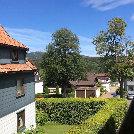 Fuehl Dich Wohl Apartment Braunlage Ngoại thất bức ảnh